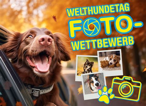 qualipet aktionen|Alles für den Hund 